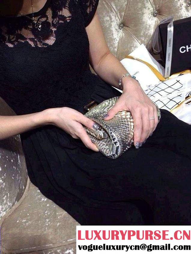 Chanel Python Clutch Bag in Silver Spring Summer 2014