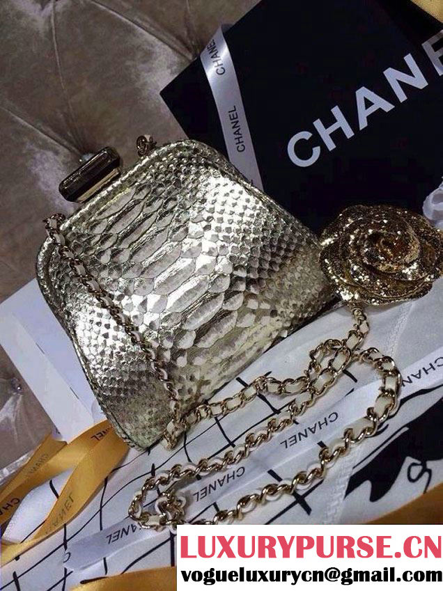 Chanel Python Clutch Bag in Silver Spring Summer 2014