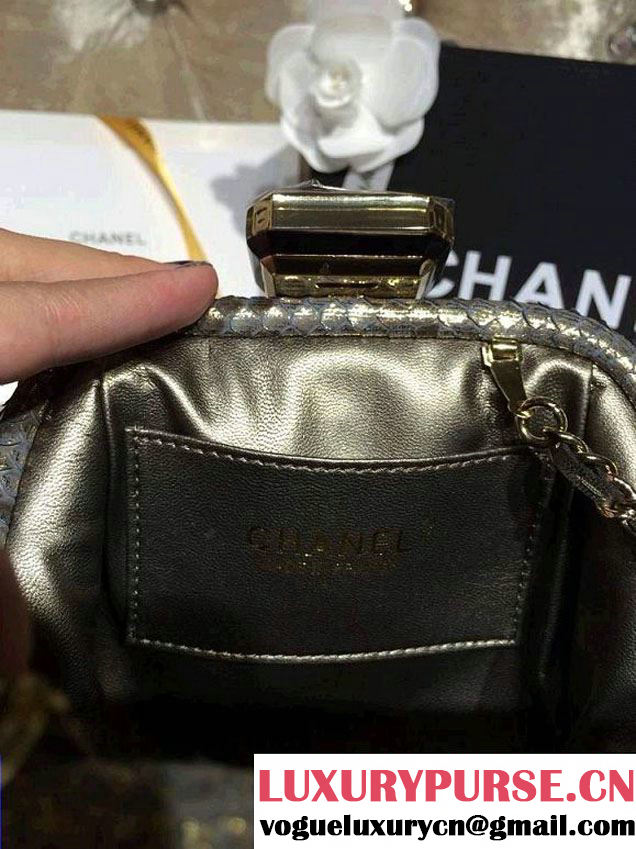 Chanel Python Clutch Bag in Golden Spring Summer 2014