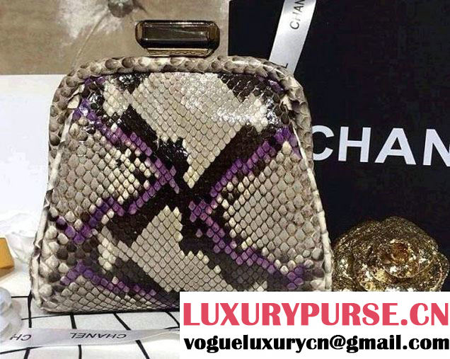 Chanel Python Clutch Bag Spring Summer 2014