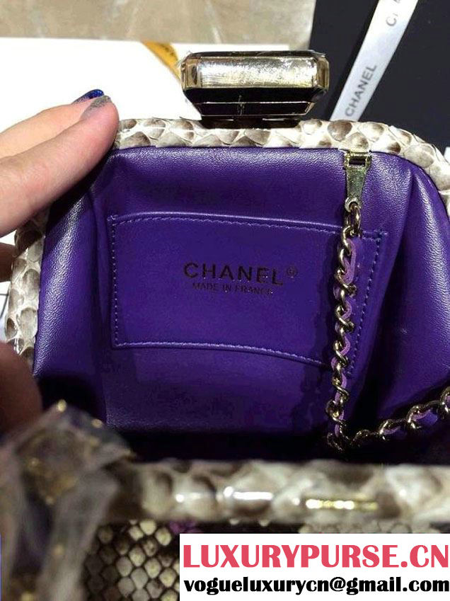 Chanel Python Clutch Bag Spring Summer 2014
