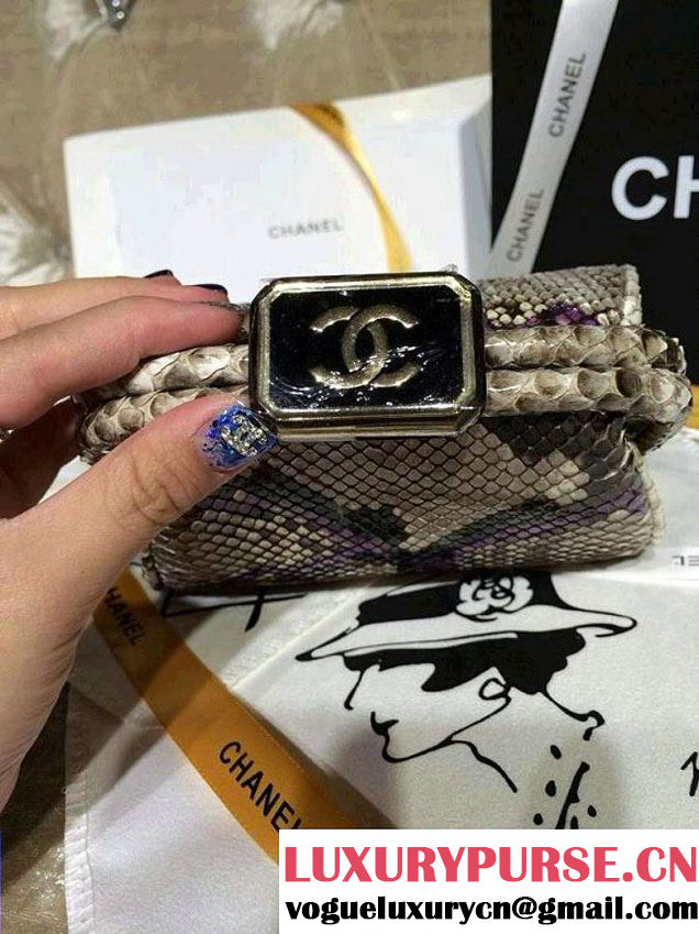Chanel Python Clutch Bag Spring Summer 2014