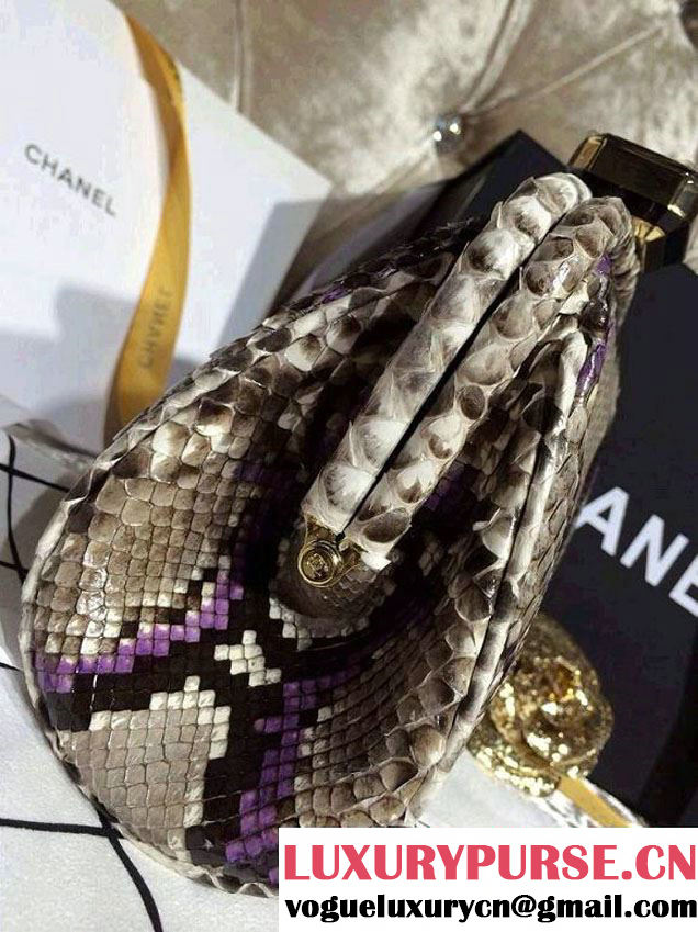 Chanel Python Clutch Bag Spring Summer 2014