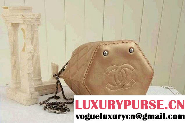 Chanel Drawstring Bucket Bag Khaki 2014