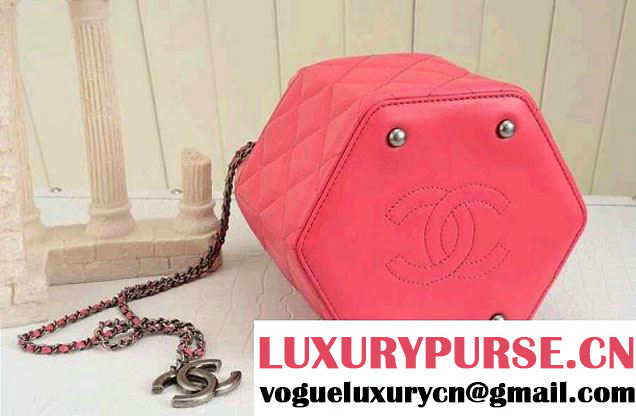 Chanel Drawstring Bucket Bag Pink 2014