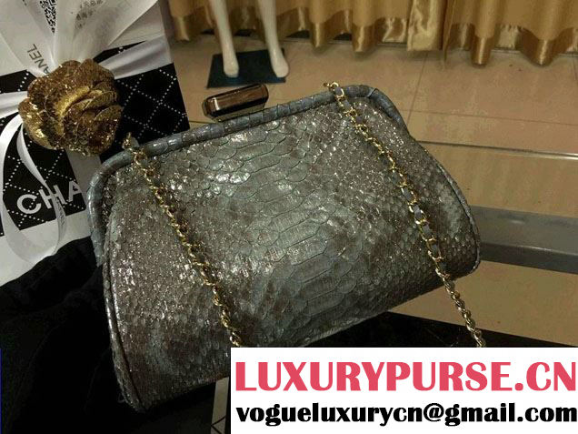 Chanel New Python Clutch Bag Gray 2014