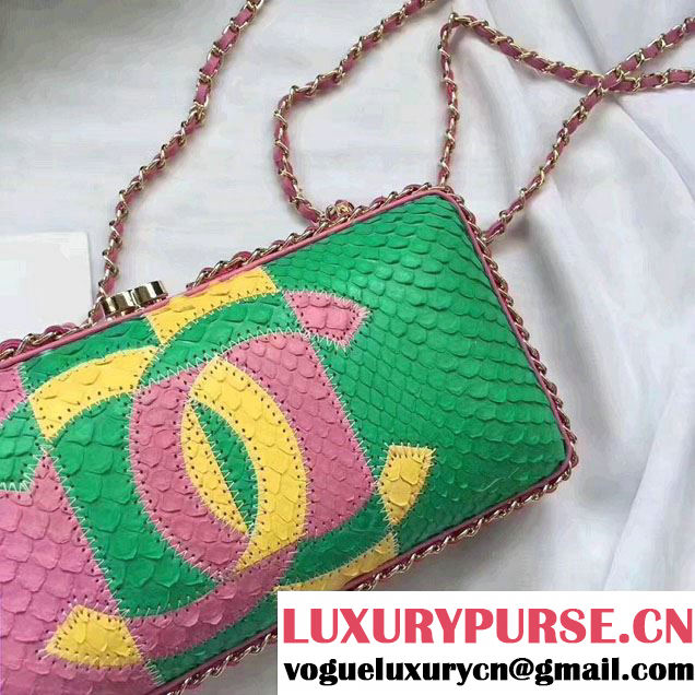 Chanel Python Textured Evening Bag A94462 Pink/Green/Gold 2017