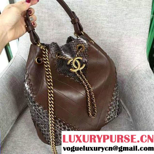 Chanel Calfskin & Python Leather Small Drawstring Bag Brown/Silver 2016 (AV-6112831 )