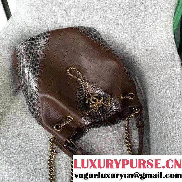 Chanel Calfskin & Python Leather Small Drawstring Bag Brown/Silver 2016 (AV-6112831 )