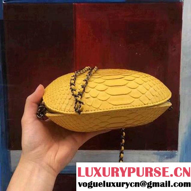 Chanel Gabrielle Purse Bag In Python & Calfskin A98787 Yellow 2017 (2A143-7061210 )