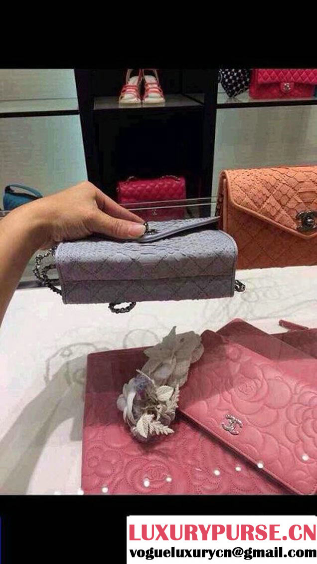 Chanel Envelope Snakeskin Falp WOC Bag in Grey 2014