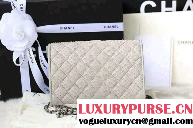 Chanel Envelope Snakeskin Falp WOC Bag in White 2014