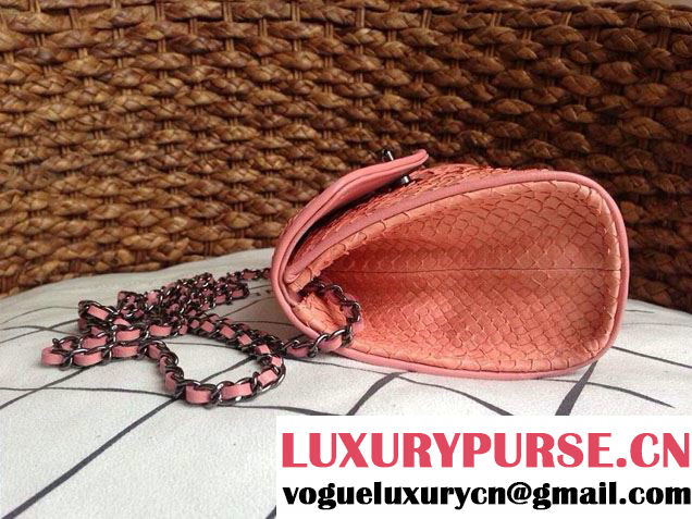 Chanel Envelope Snakeskin Falp WOC Bag 2014