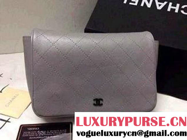 Chanel CC lambskin WOC bag in Gray 2014