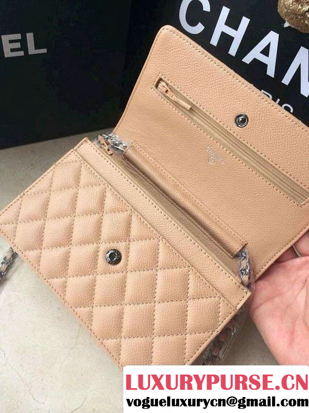 Chanel Embellished Metal Plate Wallet On Chain(WOC) Bag in Beige Pre Fall 2014