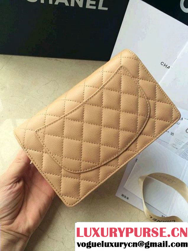 Chanel Embellished Metal Plate Wallet On Chain(WOC) Bag in Beige Pre Fall 2014