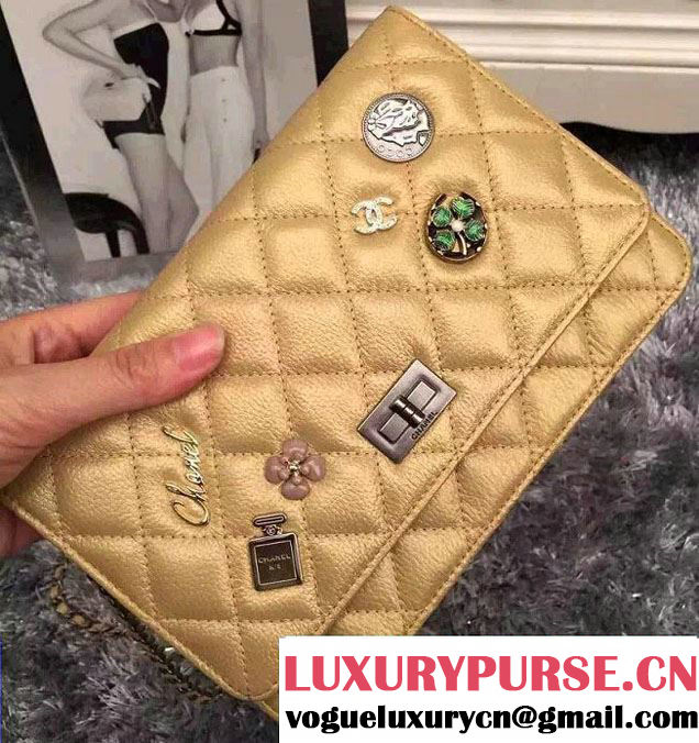 Chanel Embellished With Charms Wallet On Chain (WOC) Bag A80442 Gold 2015