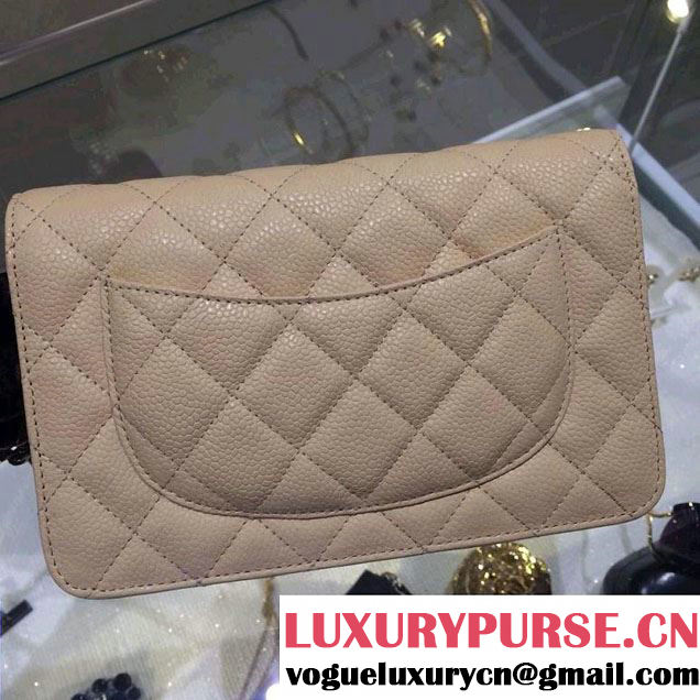 Chanel Wallet On Chain WOC Bag A33814 in Caviar Leather Apricot with Silver Hardware