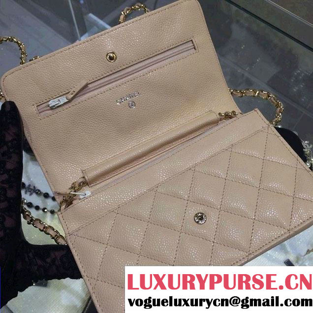 Chanel Wallet On Chain WOC Bag A33814 in Caviar Leather Apricot with Golden Hardware