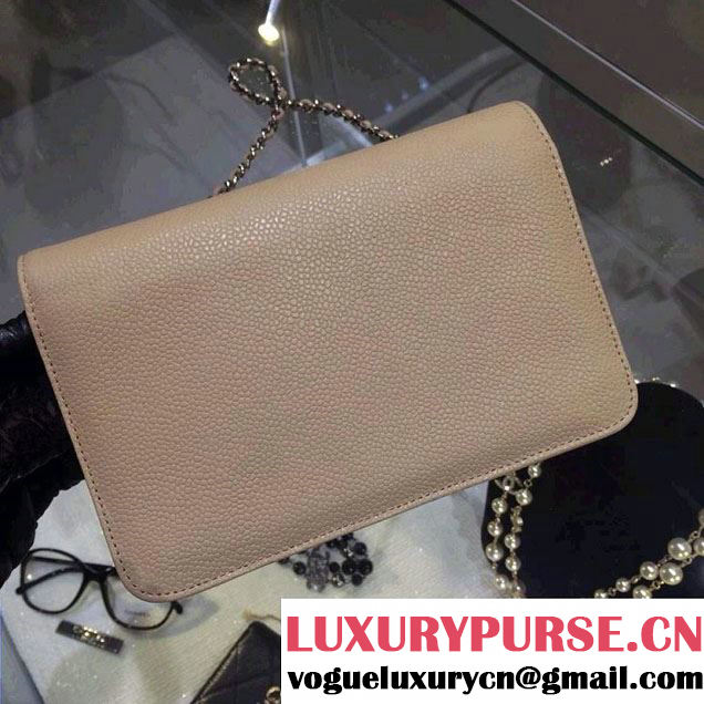 Chanel Timeless CC Wallet On Chain WOC Bag Apricot