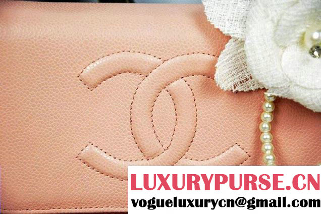 Chanel Timeless CC Wallet On Chain WOC Bag Pink