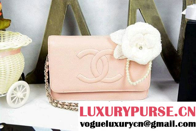 Chanel Timeless CC Wallet On Chain WOC Bag Pink