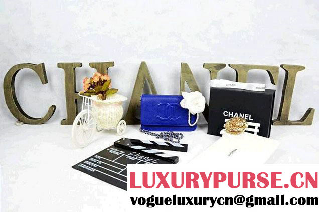 Chanel Timeless CC Wallet On Chain WOC Bag Blue