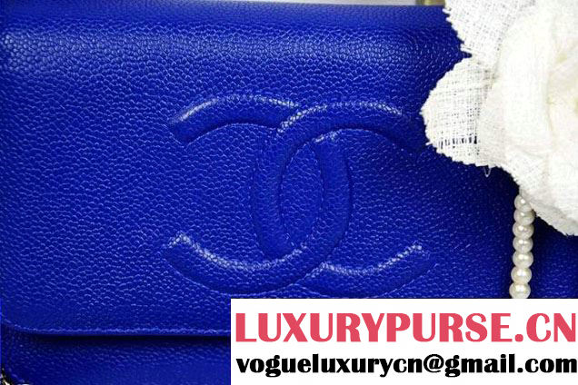 Chanel Timeless CC Wallet On Chain WOC Bag Blue