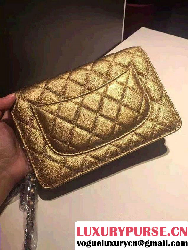 Chanel Iridescent Wallet On Chain WOC Bag with Rainbow Hardware Gold 2016