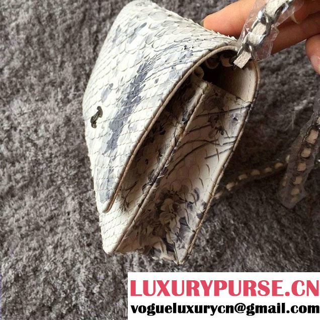 Chanel Python Wallet On Chain WOC Bag 2016