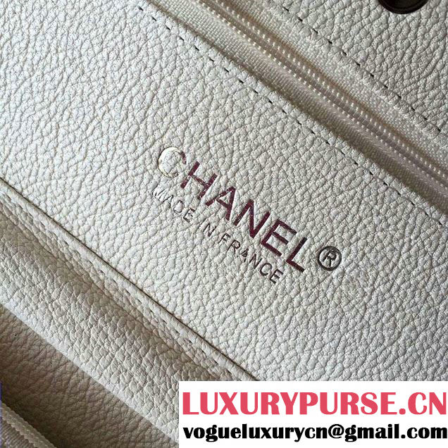 Chanel Python Wallet On Chain WOC Bag 2016