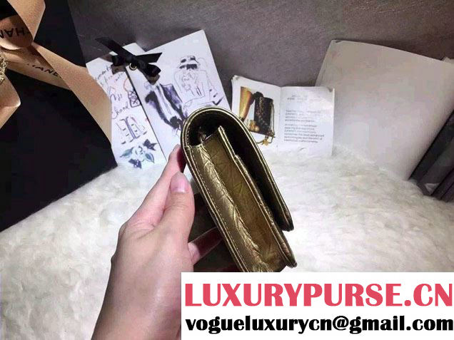 Chanel Boy Wallet On Chain WOC Bag Gold with Gold Hardware