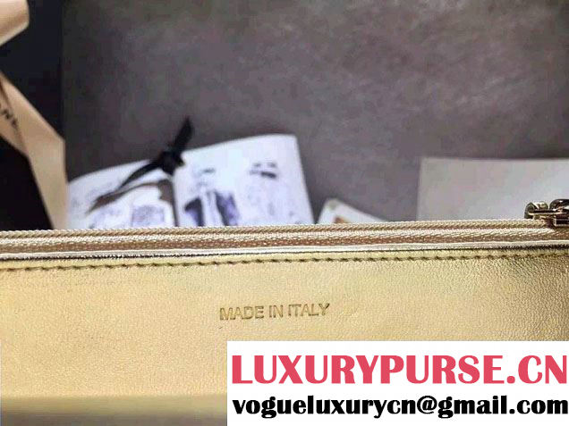Chanel Sheepskin Wallet On Chain WOC Bag Gold with Gold Hardware