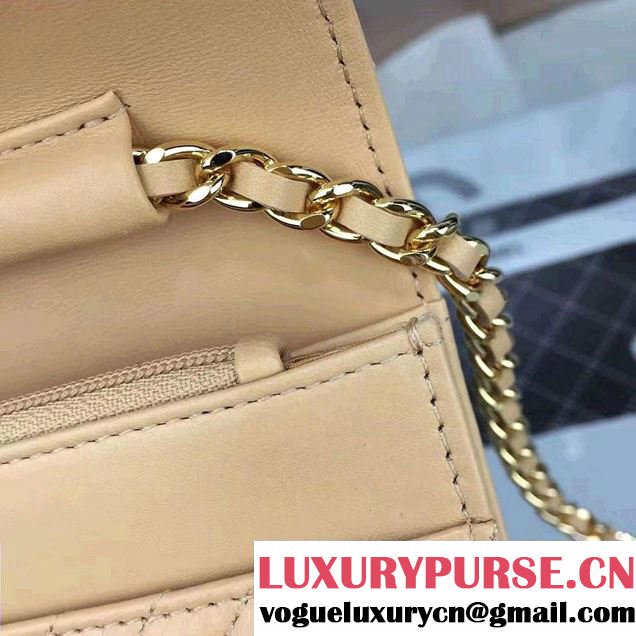 Chanel Quilting Chevron Wallet On Chain WOC Bag