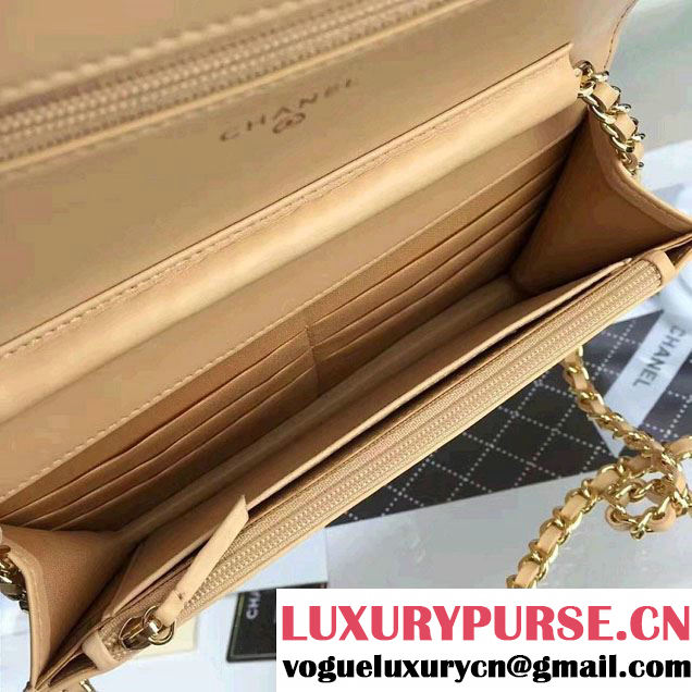 Chanel Quilting Chevron Wallet On Chain WOC Bag