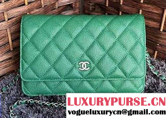 Chanel Grained Metal Wallet On Chain WOC Bag A80982 Green 2017