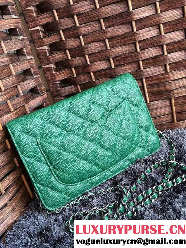 Chanel Grained Metal Wallet On Chain WOC Bag A80982 Green 2017