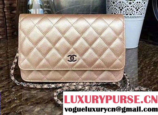 Chanel Grained Metal Wallet On Chain WOC Bag A80982 Gold 2017