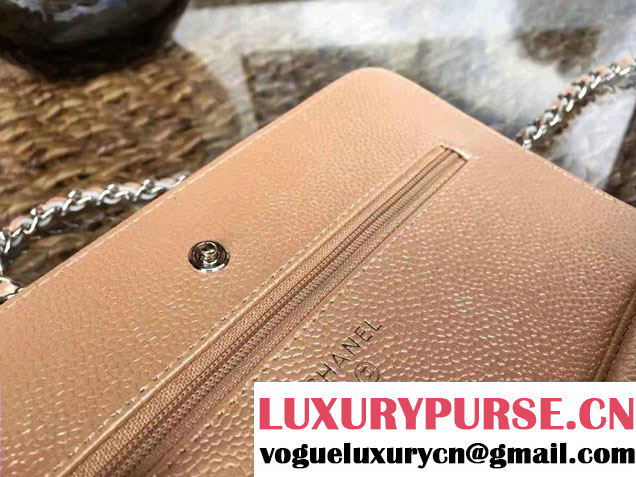 Chanel Grained Metal Wallet On Chain WOC Bag A80982 Gold 2017