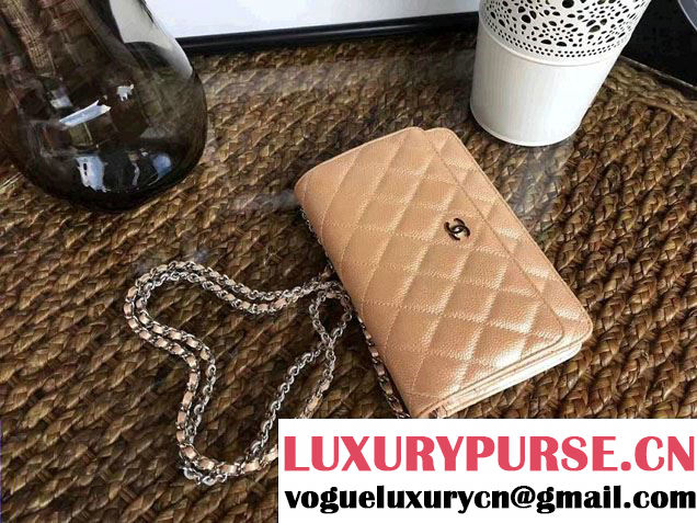 Chanel Grained Metal Wallet On Chain WOC Bag A80982 Gold 2017