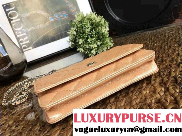 Chanel Grained Metal Wallet On Chain WOC Bag A80982 Gold 2017