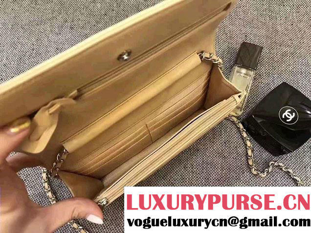 Chanel Chevron Wallet On Chain WOC Bag Beige/Sliver