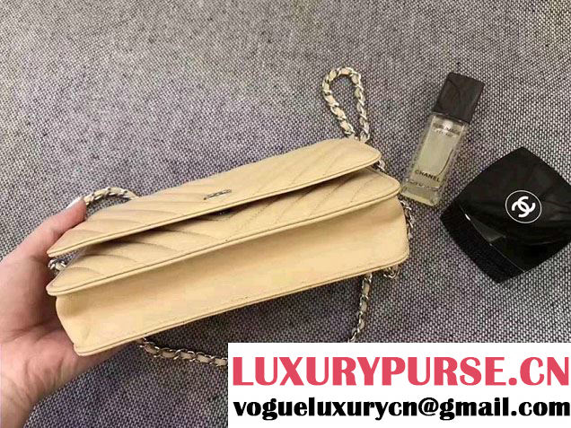 Chanel Chevron Wallet On Chain WOC Bag Beige/Sliver