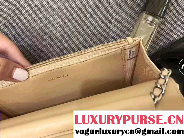 Chanel Chevron Wallet On Chain WOC Bag Beige/Sliver