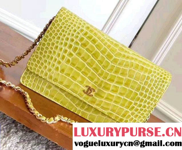 Chanel Croco Pattern Wallet On Chain WOC Bag 2017