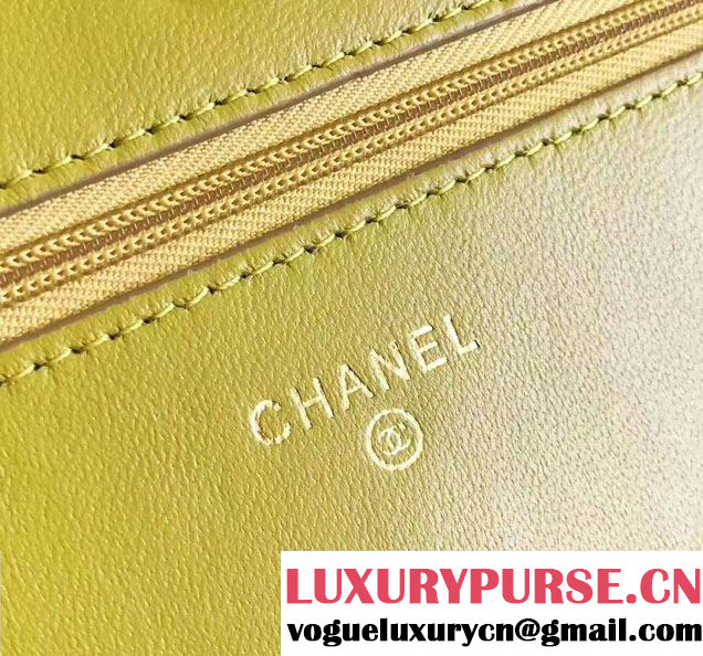 Chanel Croco Pattern Wallet On Chain WOC Bag 2017