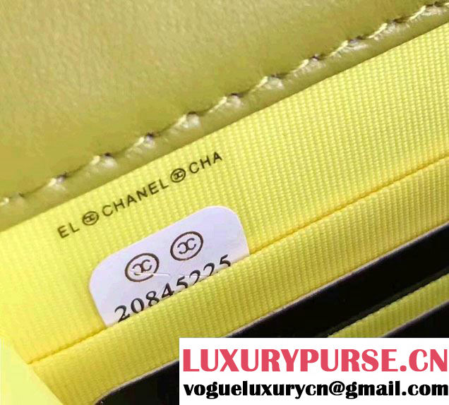 Chanel Croco Pattern Wallet On Chain WOC Bag 2017