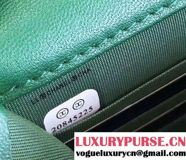 Chanel Croco Pattern Wallet On Chain WOC Bag 2017
