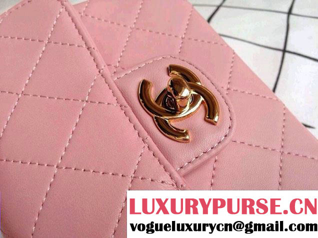 Chanel Mini Tote Bag in Pink 2014