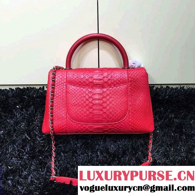 Chanel Python and Lambskin Flap Large Bag with Handle A93279 Red 2016